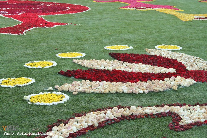 گزارش تصویری _ بزرگترین فرش سرگل آسیا در محلات گزارش تصویری _ بزرگترین فرش سرگل آسیا در محلات