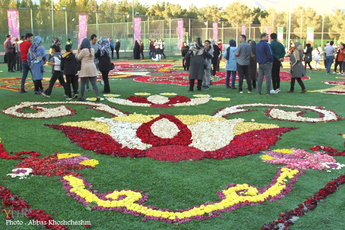 گزارش تصویری _ بزرگترین فرش سرگل آسیا در محلات گزارش تصویری _ بزرگترین فرش سرگل آسیا در محلات