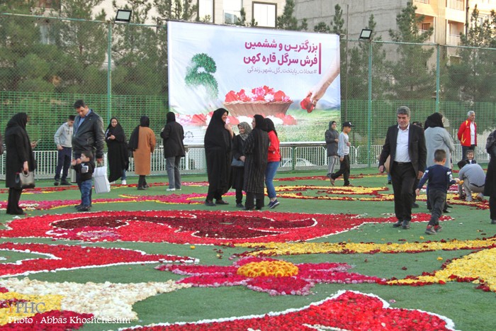 گزارش تصویری _ بزرگترین فرش سرگل آسیا در محلات گزارش تصویری _ بزرگترین فرش سرگل آسیا در محلات