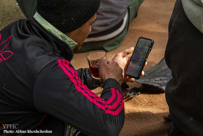 برداشت خرمالو از باغات سولقان بخش کن تهران