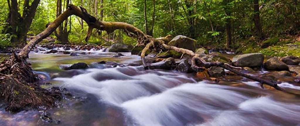 آموزشگاه عکاسی |آموزش عکاسی| دوره عکاسی | کلاس عکاسی آموزشگاه عکاسی |آموزش عکاسی| دوره عکاسی | کلاس عکاسی