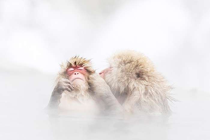 اعلام برندگان مسابقه عکاسی theMind’s Eye 2020