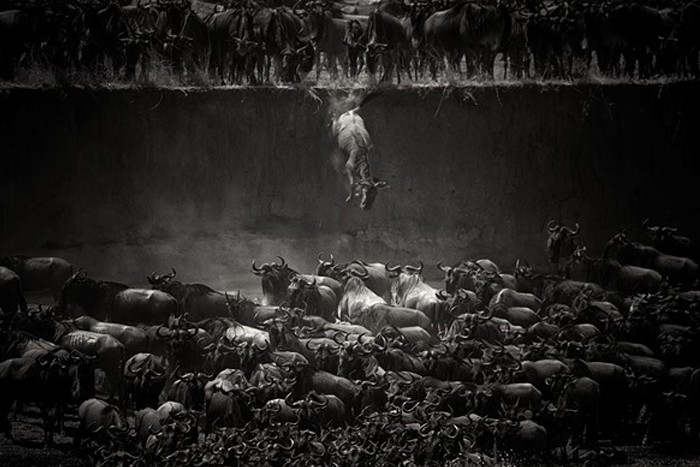 اعلام برندگان مسابقه عکاسی theMind’s Eye 2020