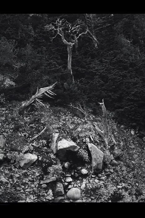 معرفی پرچمداران عکاسی مدرن (بخش سوم)