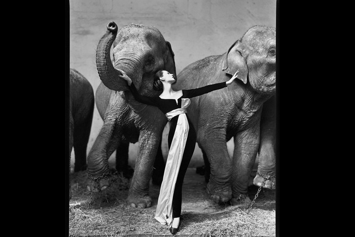 تحلیلی کوتاه برتاریخچه عکاسی مد