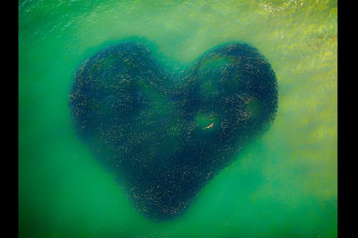 اعلام برندگان مسابقه بین المللی عکاسی با پهپاد 2020