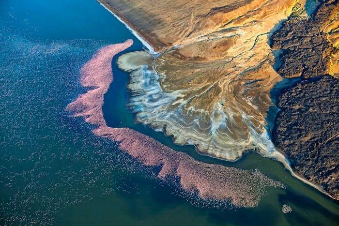 اعلام برندگان مسابقه بین المللی عکاسی با پهپاد 2020