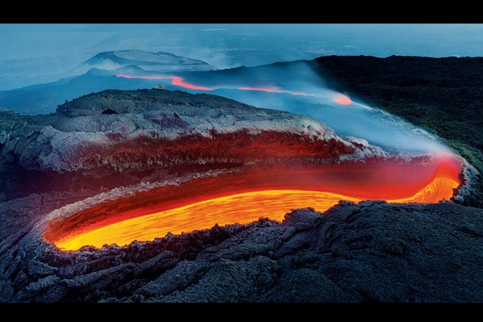 اعلام برندگان مسابقه عکاسی حیات وحش سال 2020