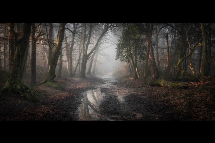 منتخبی از تصاویررقابت عکاسی منظره سال 2020