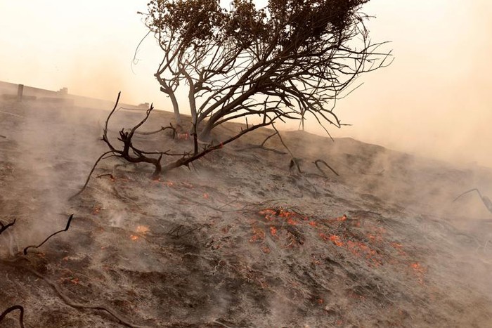 عکس های منتخب خبری هفته چهارم اکتبر۲۰۲۰