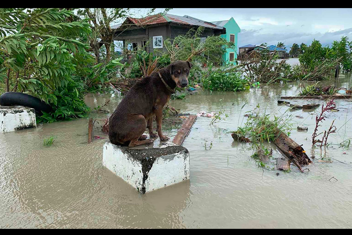 عکس های منتخب خبری هفته چهارم اکتبر۲۰۲۰