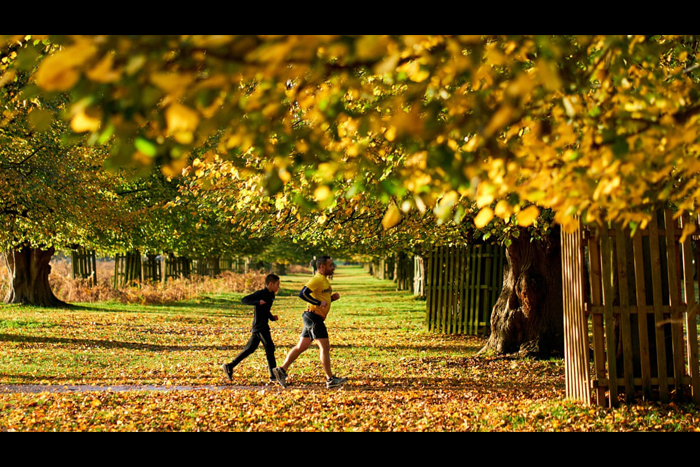 تصاویر _ عکس های منتخب خبری هفته چهارم اکتبر ۲۰۲۰