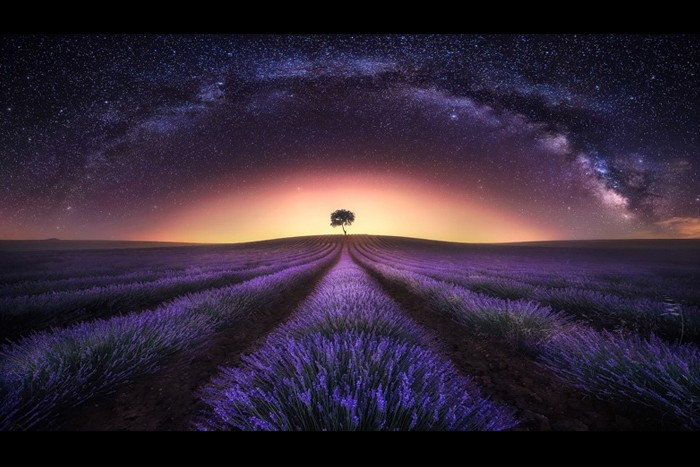 گفتگوی با علی سامعی دبیرجشنواره عکس خیام