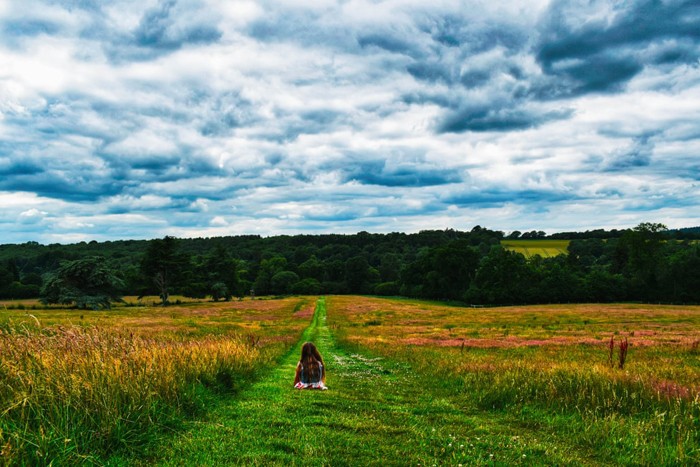 منتخبی ازتصاویررقابت عکاسیREDISCOVER Nature 2020