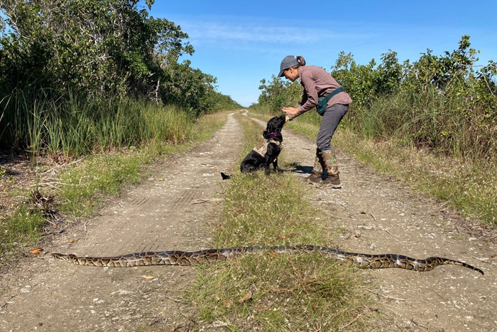 عکس های منتخب حیات وحش هفته سوم دسامبر۲۰۲۰