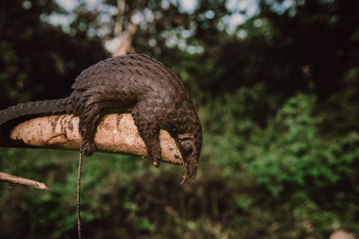 عکس های منتخب حیات وحش هفته سوم دسامبر۲۰۲۰