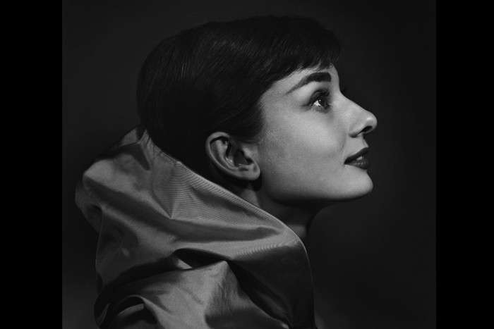 یوسف کارش «عکاس برجسته پرتره»