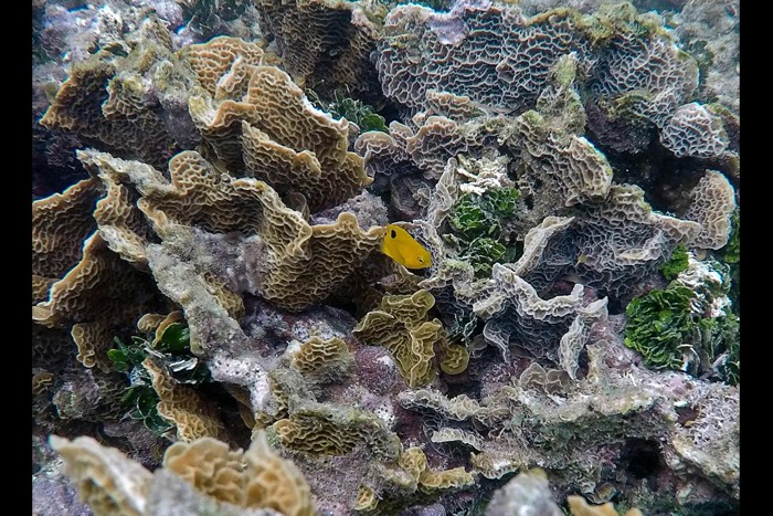 نقاط جهان _ عکس های منتخب حیات وحش هفته سوم آوریل ۲۰۲۱ 