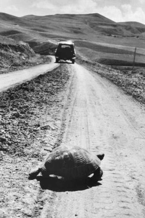 نگاهی به آثار مارک ریبو عکاس- خبرنگار فرانسوی