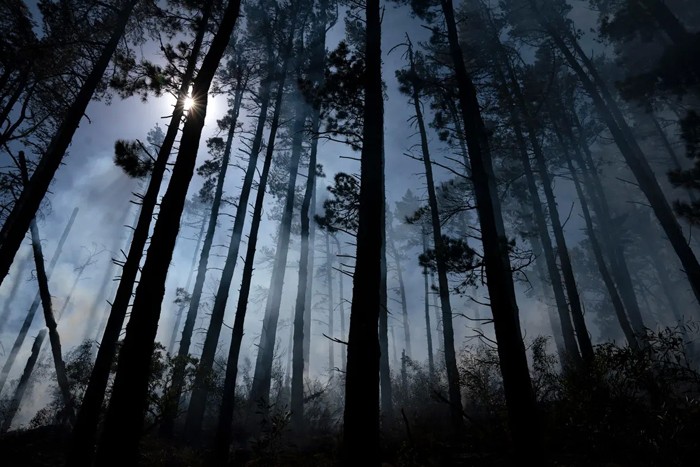 عکس های منتخب حیات وحش هفته سوم آوریل ۲۰۲۱