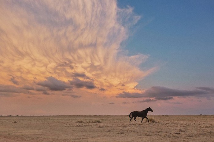 عکاس سال _ عکاسی طوفان _ اعلام برندگان مسابقه عکاسی 2021 Storm 