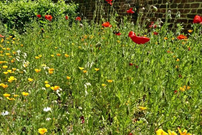 عکس های منتخب حیات وحش هفته دوم ژوئن ۲۰۲۱