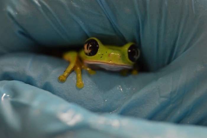 عکس های منتخب حیات وحش هفته دوم ژوئن ۲۰۲۱