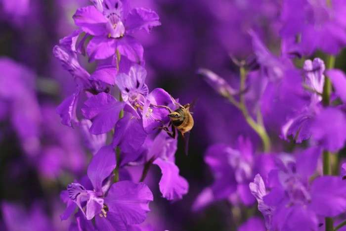 عکس های منتخب حیات وحش هفته دوم ژوئن ۲۰۲۱