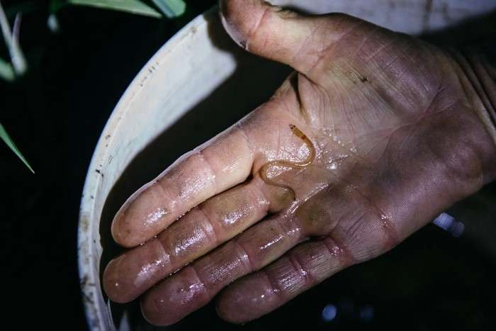 عکس های منتخب حیات وحش هفته دوم ژوئن ۲۰۲۱