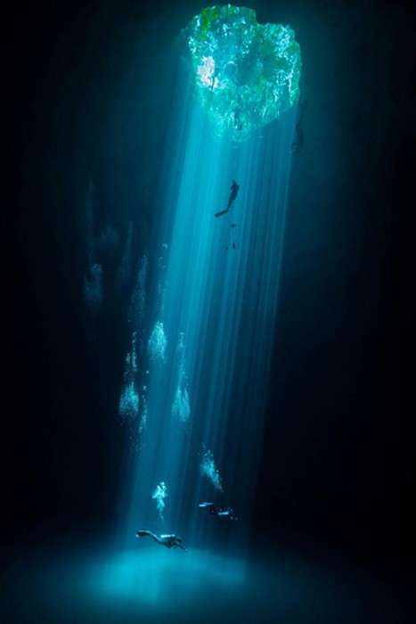 اعلام برندگان مسابقه عکس حفاظت از طبیعت در سال ۲۰۲۱