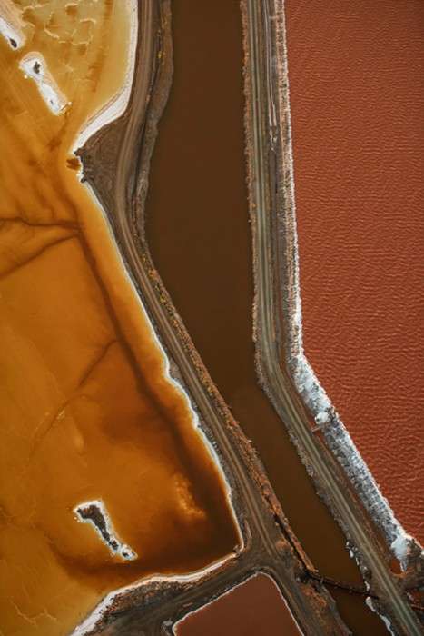 اعلام برندگان مسابقه عکس حفاظت از طبیعت در سال ۲۰۲۱