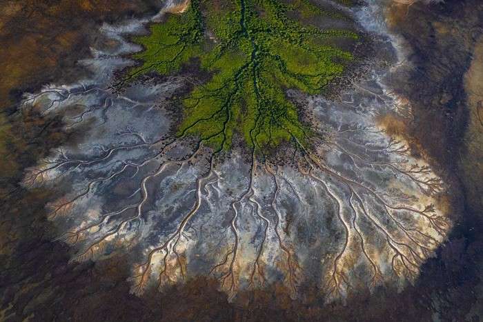 اعلام برندگان مسابقه عکس حفاظت از طبیعت در سال ۲۰۲۱