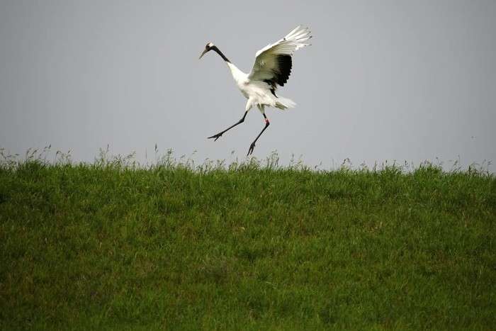 عکس های منتخب حیات وحش هفته دوم اکتبر ۲۰۲۱