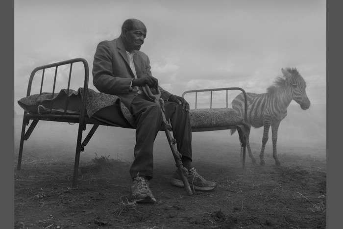 مجموعه عکس « روز می آید »