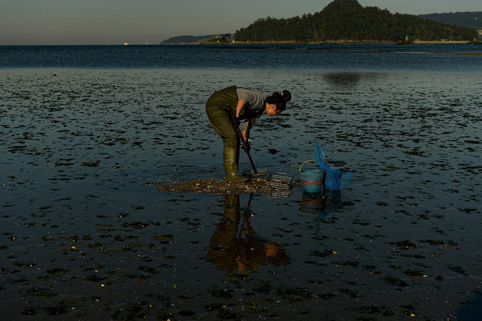 زنان کشاورز اسپانیای در جستجوی صدف