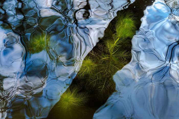 منتخبی از تصاویر مسابقه عکاسی کلوزآپ‌ طبیعت ۲۰۲۳