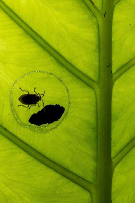 منتخبی از تصاویر مسابقه عکاسی کلوزآپ‌ طبیعت 2023