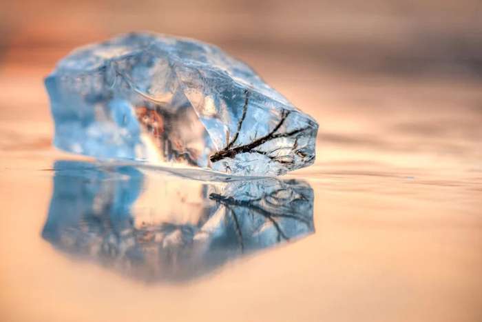 منتخبی از تصاویر مسابقه عکاسی کلوزآپ‌ طبیعت 2023