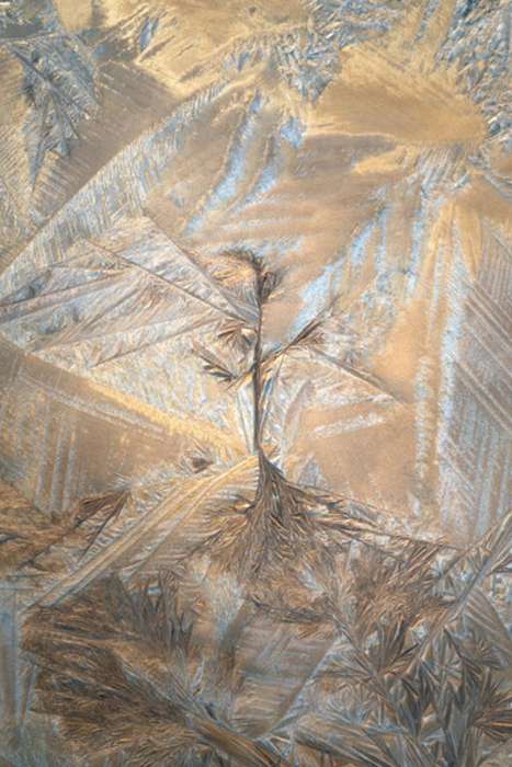 منتخبی از تصاویر مسابقه عکاسی کلوزآپ‌ طبیعت 2023