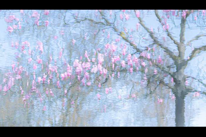 منتخبی از تصاویر مسابقه عکاسی کلوزآپ‌ طبیعت 2023