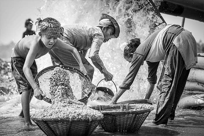 مجموعه عکس " کودک کار"