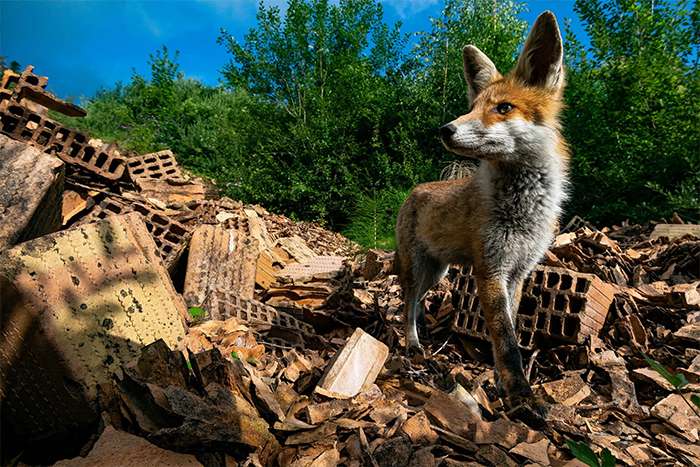 اعلام برندگان مسابقه عکاسی طبیعت 2024