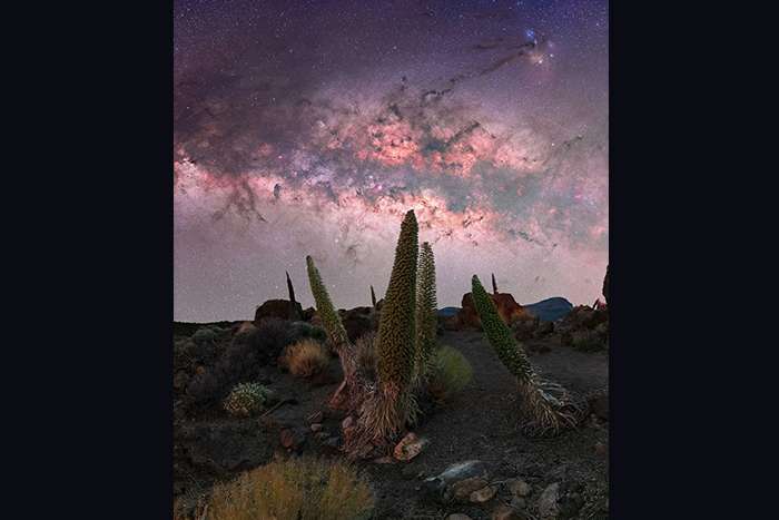 منتخبی از تصاویر مسابقه عکاسی راه شیری 2024