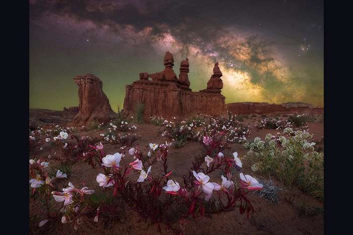 منتخبی از تصاویر مسابقه عکاسی راه شیری ۲۰۲۴