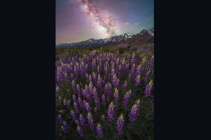 منتخبی از تصاویر مسابقه عکاسی راه شیری 2024