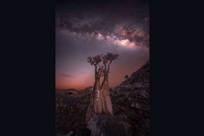 منتخبی از تصاویر مسابقه عکاسی راه شیری 2024