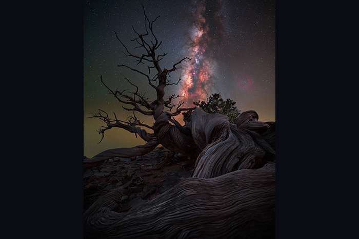 منتخبی از تصاویر مسابقه عکاسی راه شیری 2024