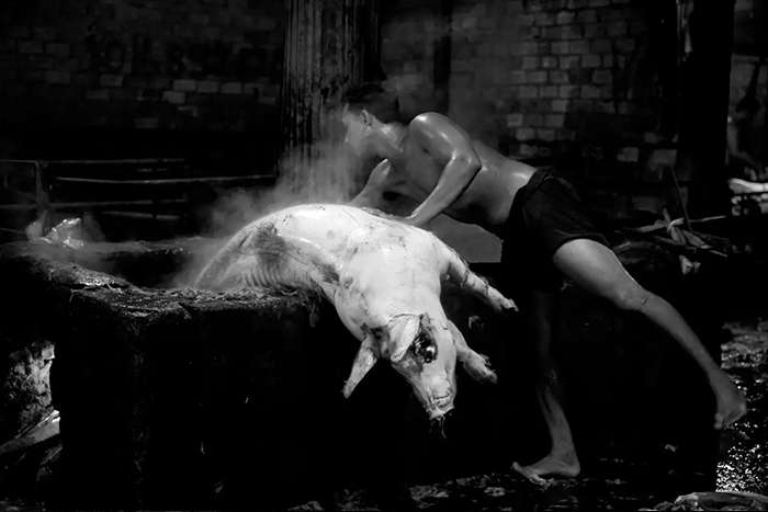 گفتگو با استف گروبر فیلمساز و عکاس