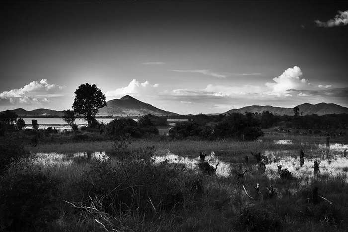 گفتگو با استف گروبر فیلمساز و عکاس