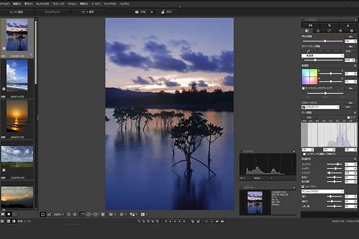 ۱۰ نکته طلایی برای شروع عکاسی حرفه‌ای